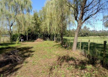 Terreno agricolo Varese - foto 7