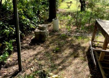 Terreno agricolo Varese - foto 8