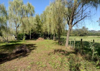 Terreno agricolo Varese - foto 9