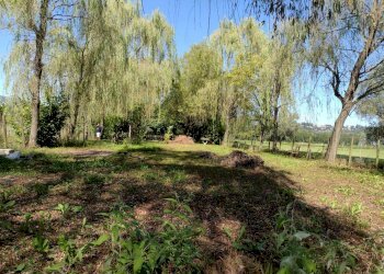 Terreno agricolo Varese - foto 10