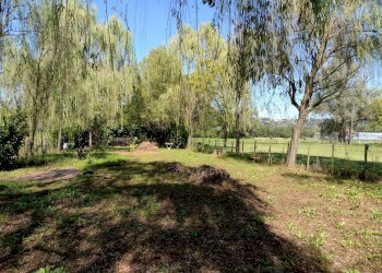 Terreno agricolo Varese - foto 11