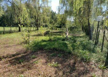 Terreno agricolo Varese - foto 12