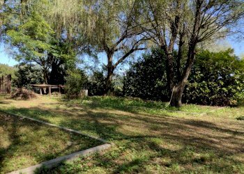 Terreno agricolo Varese - foto 13