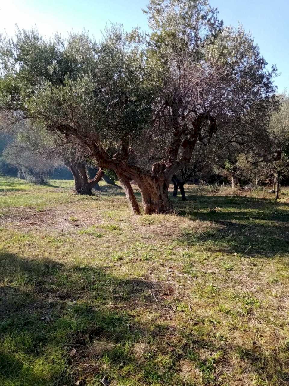 IMG-20211027-WA0003.jpg - Villa STRADA PROVINCIALE, Rocca San Giovanni - foto 2