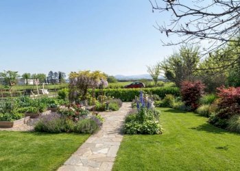 Giardino - Rustic Magliano Alpi - photo 3