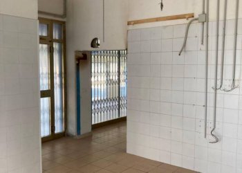 Negozio Massa - foto 3