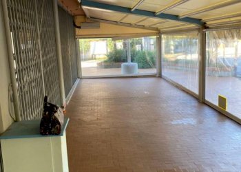 Negozio Massa - foto 13