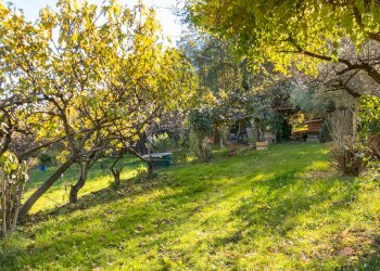 Casa semi indipendente Via San Quirico, 14, Barge - foto 33