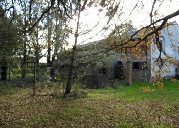 Terratetto - Terracielo Ravenna (zona Savarna) - foto 2