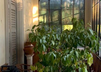 Villa VIA CADORNA 6, Erba - foto 6