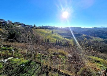 Vista - Casa indipendente strada Provinciale delle Langhe, Belvedere Langhe - foto 5