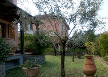DSC04765.jpg - Villa Sarzana - foto 5