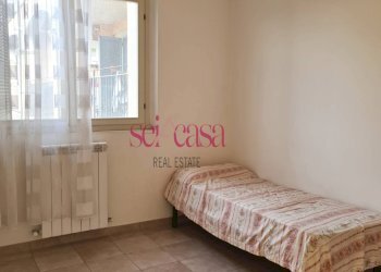 Trilocale Campagnatico - foto 11