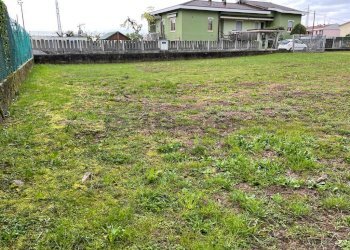 7.jpg - Terreno edificabile Suisio - foto 7