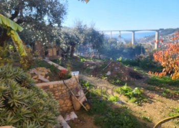 Villa Strada Giambranca, Bordighera - foto 6