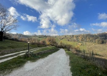 Casa indipendente Via Palazzi 8, Cupramontana - foto 15