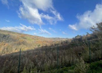 Casa indipendente Via Palazzi 8, Cupramontana - foto 17