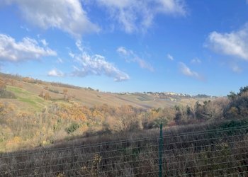 Casa indipendente Via Palazzi 8, Cupramontana - foto 18