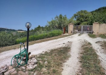 IMG_20220718_145316619_HDR.jpg - Casa indipendente Via Palazzi 8, Cupramontana - foto 19