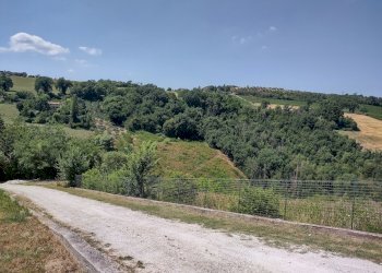 IMG_20220718_145331348_HDR.jpg - Casa indipendente Via Palazzi 8, Cupramontana - foto 20