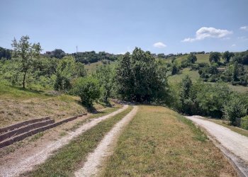 IMG_20220718_145335187_HDR.jpg - Casa indipendente Via Palazzi 8, Cupramontana - foto 21