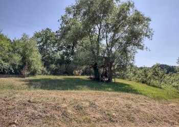 IMG_20220718_145346609_HDR.jpg - Casa indipendente Via Palazzi 8, Cupramontana - foto 22