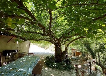 IMG_20220718_150128934.jpg - Casa indipendente Via Palazzi 8, Cupramontana - foto 27