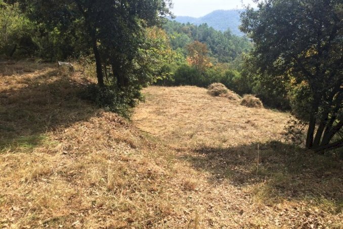 Building land Savona, Savona - photo 1