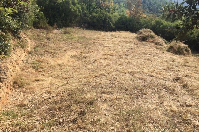 Building land Savona, Savona - photo 2