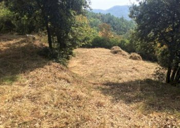 Building land Savona, Savona - photo 1