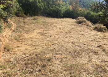 Building land Savona, Savona - photo 2