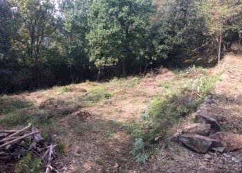 Building land Savona, Savona - photo 7