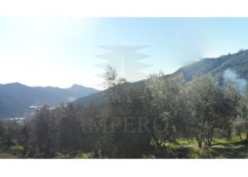 Screenshot_20211221-151113~2.png - Agricultural land Via Monsignore Tornatore, Dolceacqua - photo 4