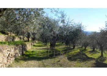 Screenshot_20211221-151125~2.png - Agricultural land Via Monsignore Tornatore, Dolceacqua - photo 5