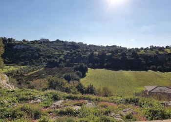 26.jpg - Rustico Modica - foto 18