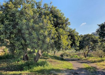 30.jpg - Rustico Modica - foto 22