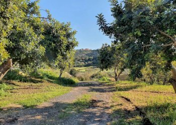 31.jpg - Rustico Modica - foto 23