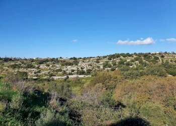 19.jpg - Rustico Modica - foto 11