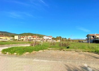 Terreno edificabile Falciano del Massico - foto 2