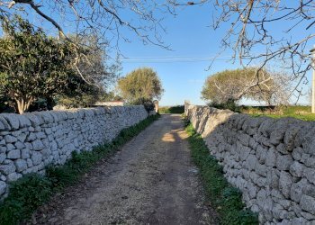 6.jpg - Rustico Modica - foto 6