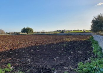 50.jpg - Rustico Modica - foto 27