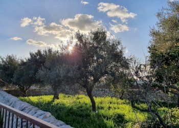 51.jpg - Rustico Modica - foto 28