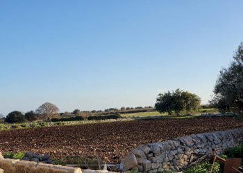 53.jpg - Rustico Modica - foto 30