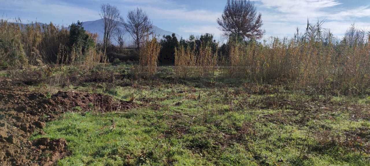 terreno 1.jpg - Terreno agricolo fontana Mazzocca snc, Cassino - foto 3
