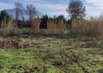 terreno 1.jpg - Terreno agricolo fontana Mazzocca snc, Cassino - foto 3