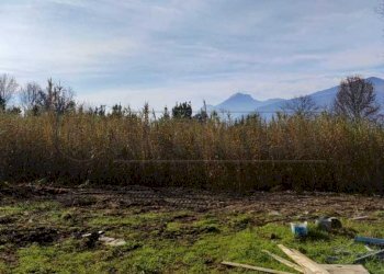 terreno3.jpg - Terreno agricolo fontana Mazzocca snc, Cassino - foto 5