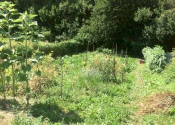 Rif 333 (27).jpg - Rustico Via Battaglia 13, Mioglia - foto 17