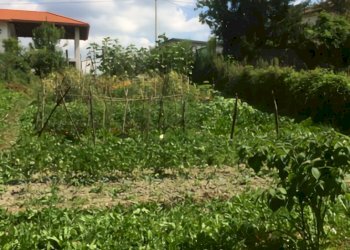 Rif 333 (28).jpg - Rustico Via Battaglia 13, Mioglia - foto 19