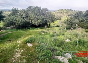 Agricultural land CONTRADA GURGAZZI, Scicli - photo 5