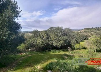 Agricultural land CONTRADA GURGAZZI, Scicli - photo 6